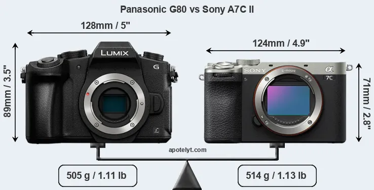 Size Panasonic G80 vs Sony A7C II