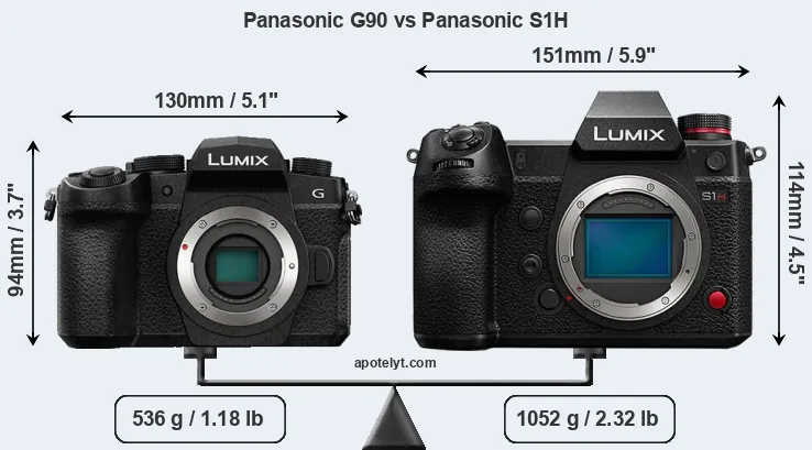 Size Panasonic G90 vs Panasonic S1H