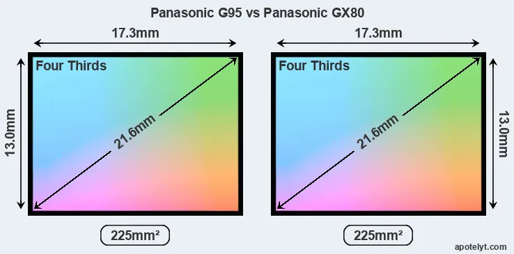 Panasonic G95 and Panasonic GX80 sensor measures