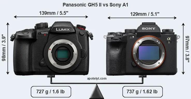 Size Panasonic GH5 II vs Sony A1