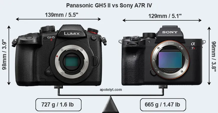 Size Panasonic GH5 II vs Sony A7R IV