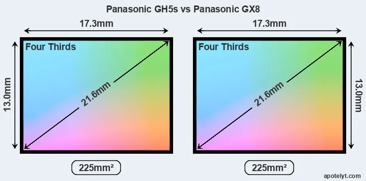 Panasonic GH5s and Panasonic GX8 sensor measures