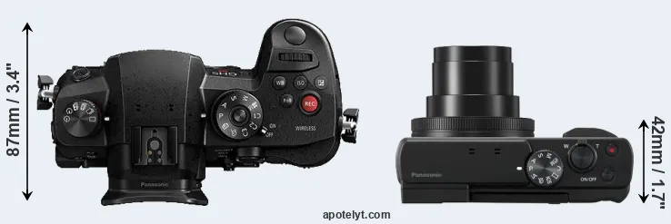 Compare GH5s versus TZ95 top