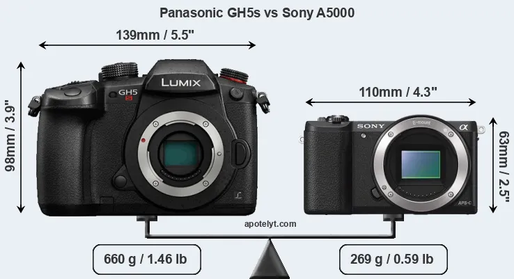 Size Panasonic GH5s vs Sony A5000
