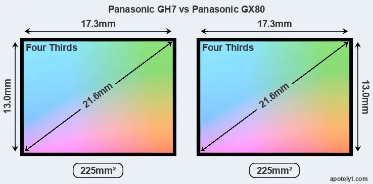 Panasonic GH7 and Panasonic GX80 sensor measures