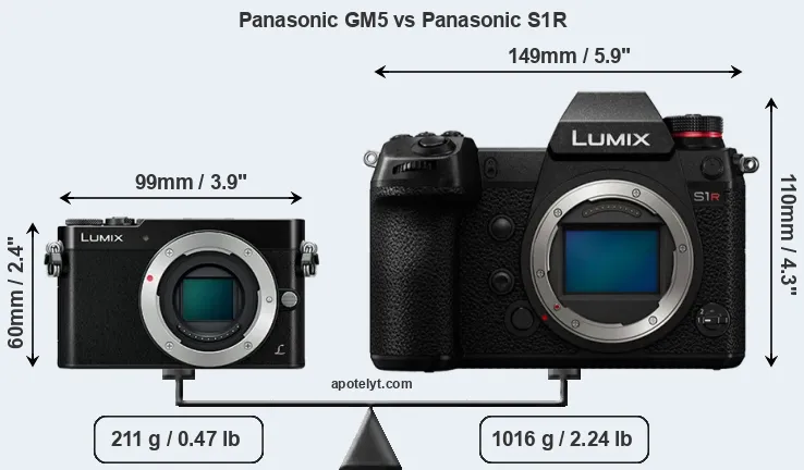 Size Panasonic GM5 vs Panasonic S1R