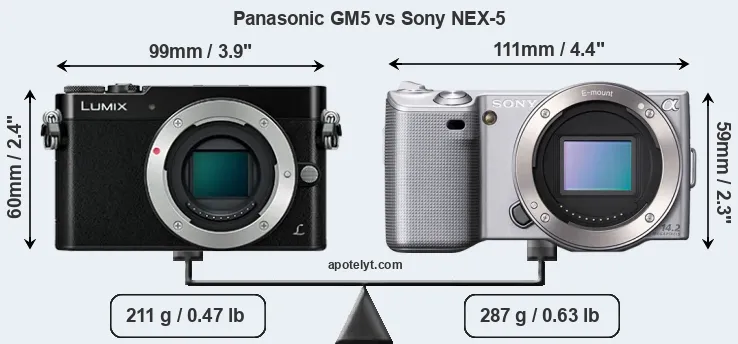 Size Panasonic GM5 vs Sony NEX-5
