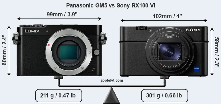 Size Panasonic GM5 vs Sony RX100 VI