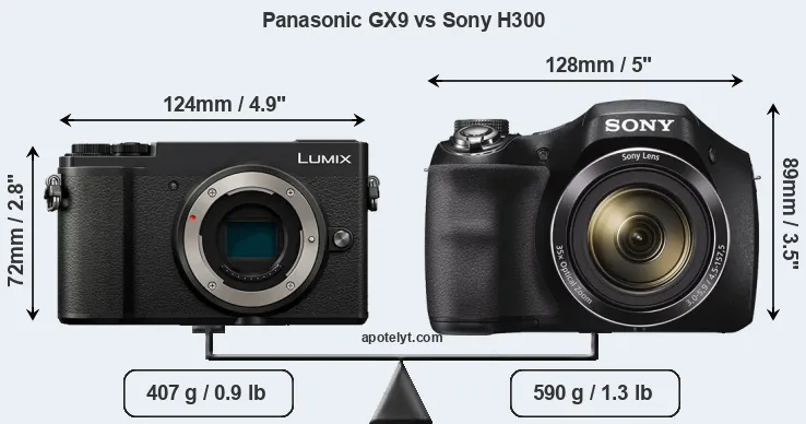 Size Panasonic GX9 vs Sony H300
