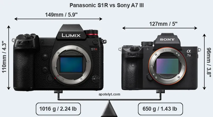 Size Panasonic S1R vs Sony A7 III