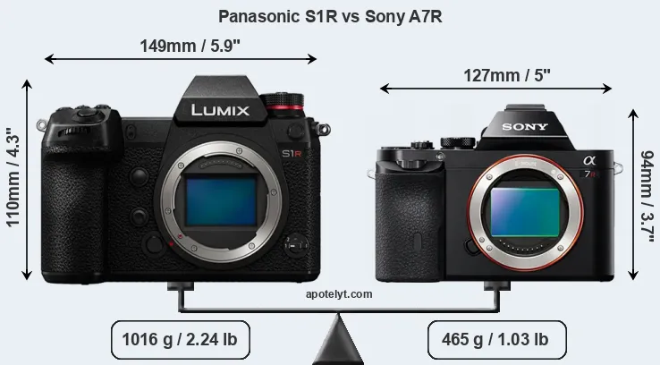 Size Panasonic S1R vs Sony A7R