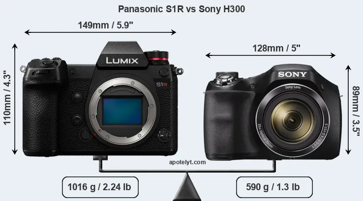 Size Panasonic S1R vs Sony H300