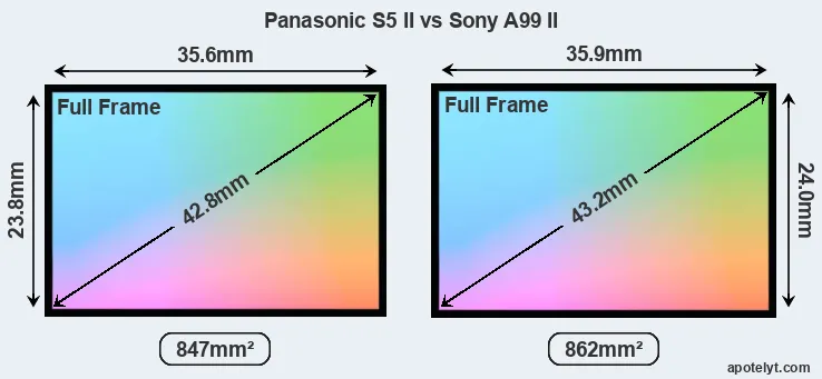 Panasonic S5 II and Sony A99 II sensor measures