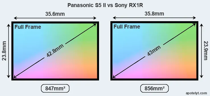 Panasonic S5 II and Sony RX1R sensor measures