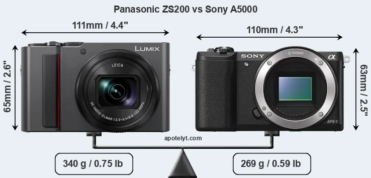 Size Panasonic ZS200 vs Sony A5000