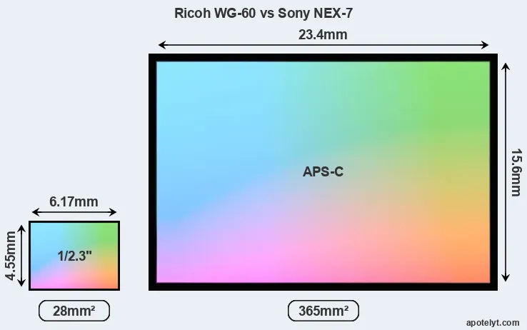 Ricoh WG-60 and Sony NEX-7 sensor measures