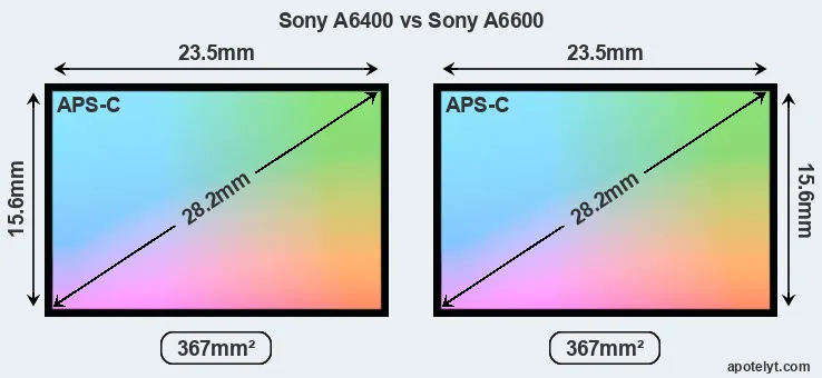Sony A6400 and Sony A6600 sensor measures