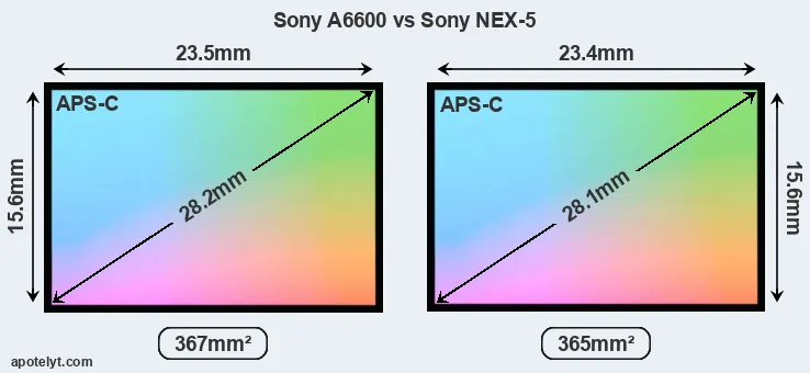 Sony A6600 and Sony NEX-5 sensor measures