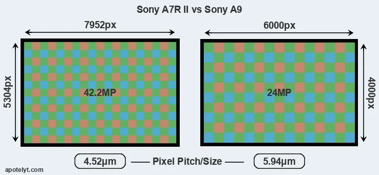 A7R II versus A9 MP