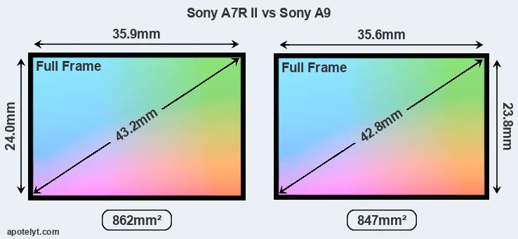 Sony A7R II and Sony A9 sensor measures