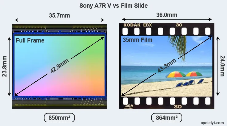 Sony A7R V sensor measures