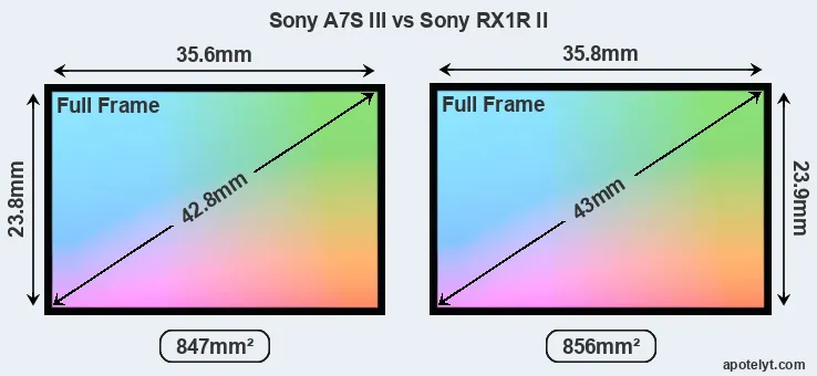 Sony A7S III and Sony RX1R II sensor measures