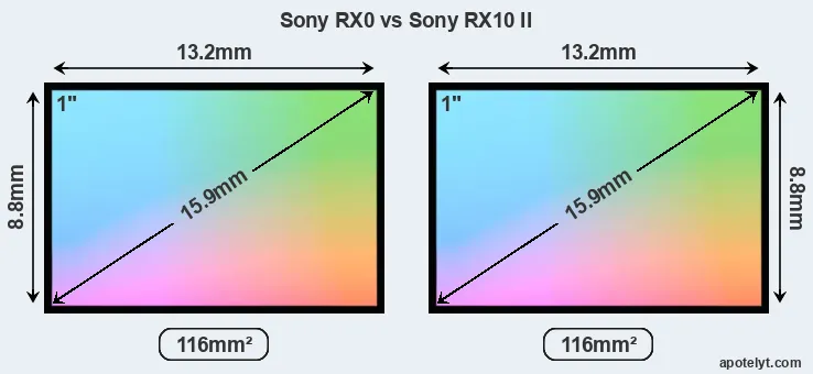 Sony RX0 and Sony RX10 II sensor measures