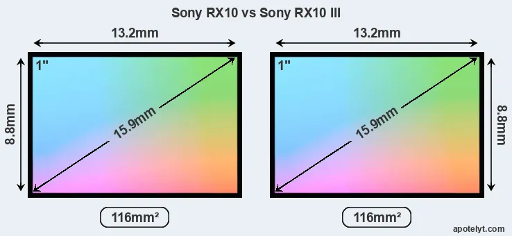 Sony RX10 and Sony RX10 III sensor measures